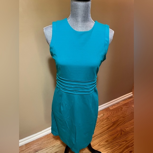 Blue Barclay Dress - Picture 2 of 9